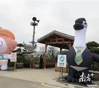 愦y圍⒀?	鹅鮢D?m6~qz&amp;~粝嗠h?ud=L{G-/苁9-体育视频直播